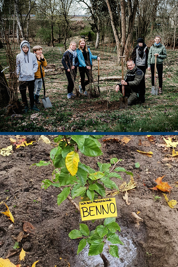 CAS: Tree Adoption Project